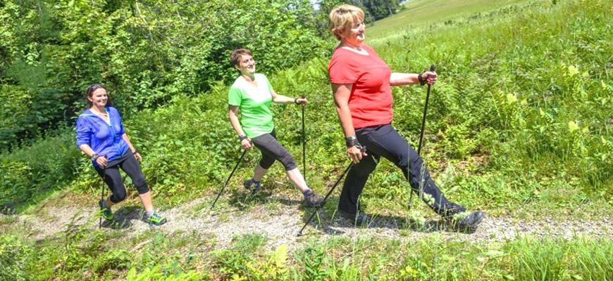 скандинавская ходьба с палками польза для похудения